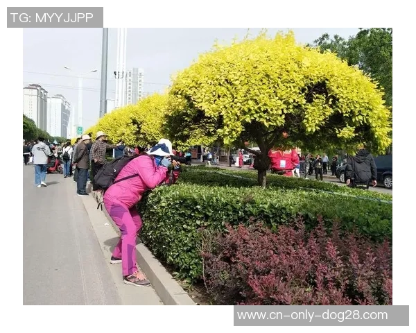 斯旺西与布雷达激战回顾2019年10月22日精彩瞬间与赛后分析